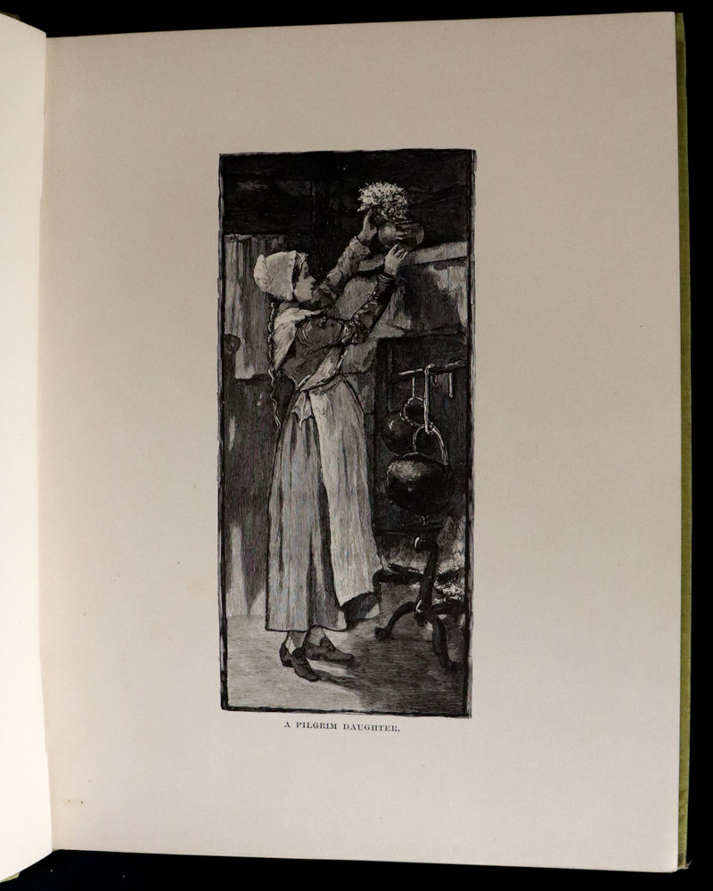 1882 Rare First Edition - Wild Flowers and Where They Grow Illustrated by Elizabeth Bullock Humphrey.