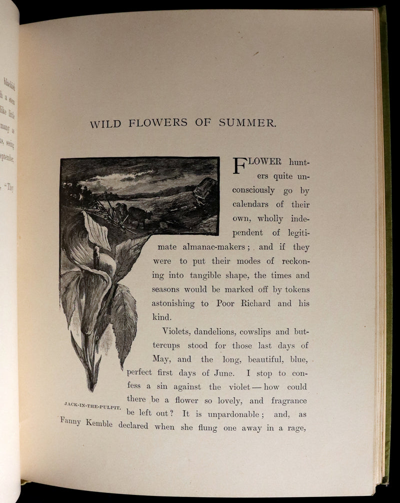 1882 Rare First Edition - Wild Flowers and Where They Grow Illustrated by Elizabeth Bullock Humphrey.