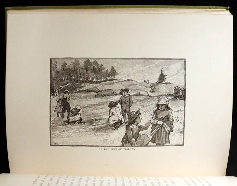 1882 Rare First Edition - Wild Flowers and Where They Grow Illustrated by Elizabeth Bullock Humphrey.