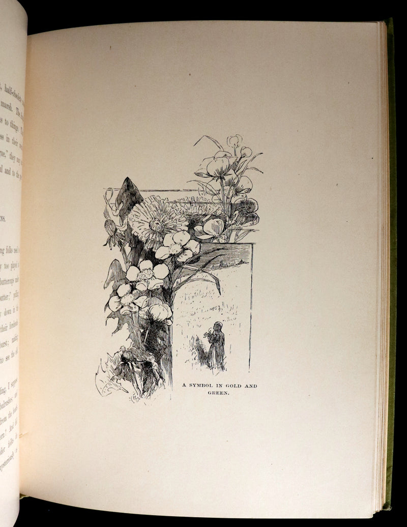 1882 Rare First Edition - Wild Flowers and Where They Grow Illustrated by Elizabeth Bullock Humphrey.