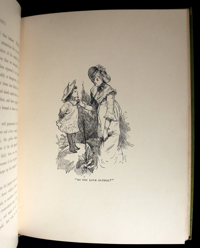 1882 Rare First Edition - Wild Flowers and Where They Grow Illustrated by Elizabeth Bullock Humphrey.
