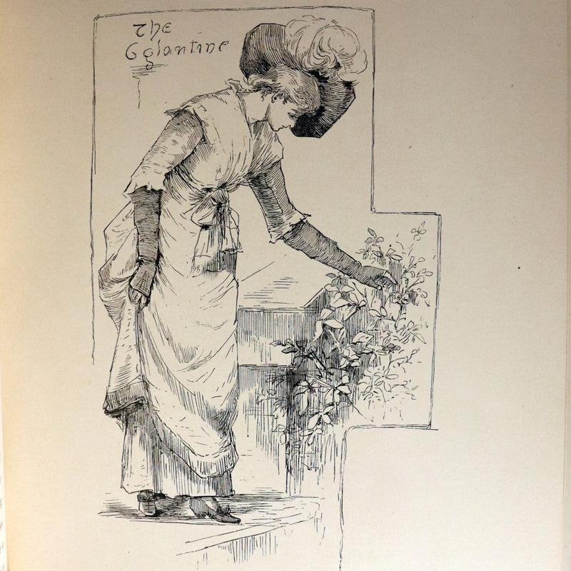 1882 Rare First Edition - Wild Flowers and Where They Grow Illustrated by Elizabeth Bullock Humphrey.