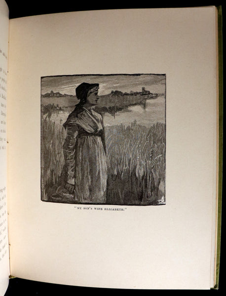 1882 Rare First Edition - Wild Flowers and Where They Grow Illustrated by Elizabeth Bullock Humphrey.