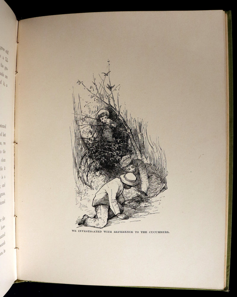 1882 Rare First Edition - Wild Flowers and Where They Grow Illustrated by Elizabeth Bullock Humphrey.