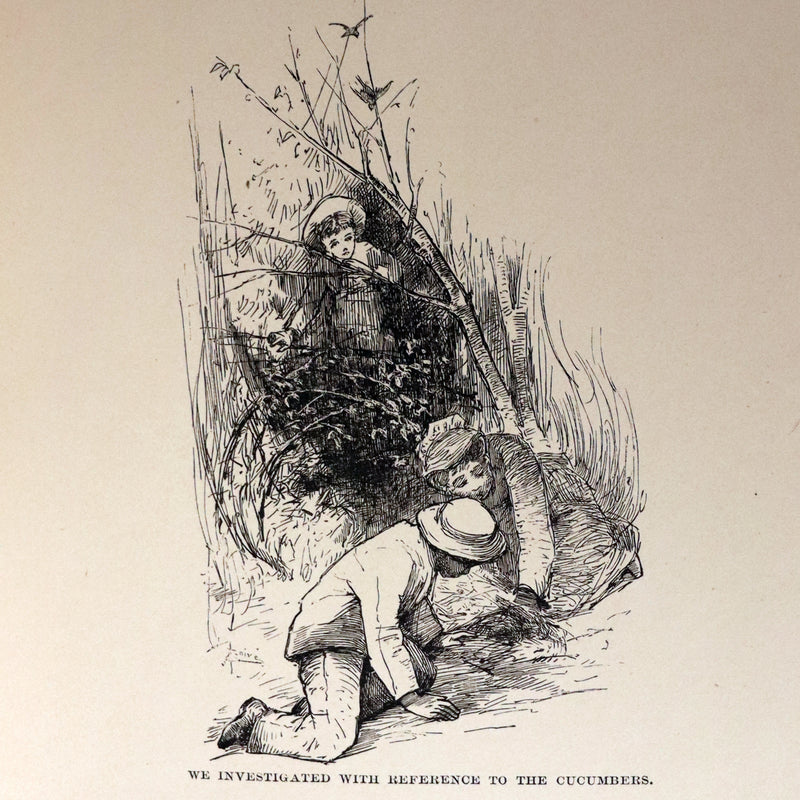 1882 Rare First Edition - Wild Flowers and Where They Grow Illustrated by Elizabeth Bullock Humphrey.