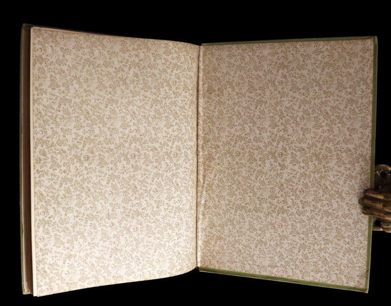 1882 Rare First Edition - Wild Flowers and Where They Grow Illustrated by Elizabeth Bullock Humphrey.