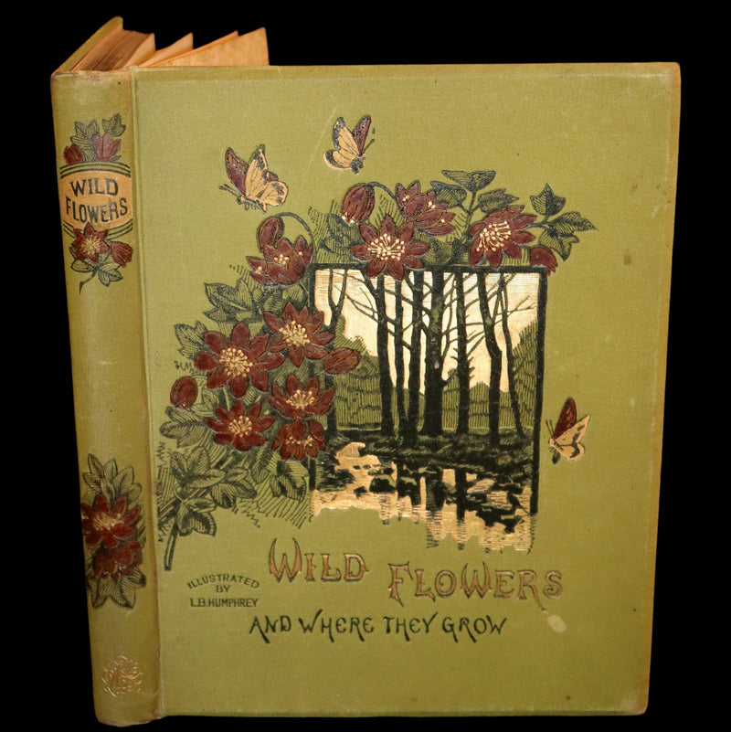 1882 Rare First Edition - Wild Flowers and Where They Grow Illustrated by Elizabeth Bullock Humphrey.