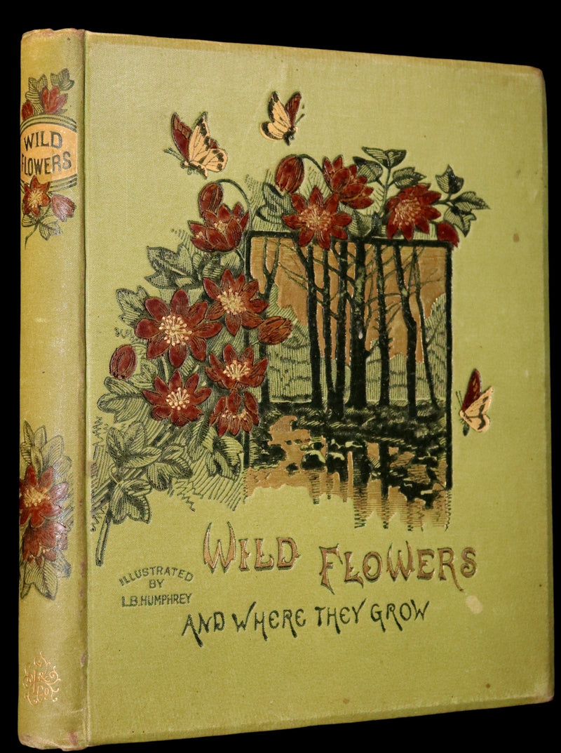 1882 Rare First Edition - Wild Flowers and Where They Grow Illustrated by Elizabeth Bullock Humphrey.