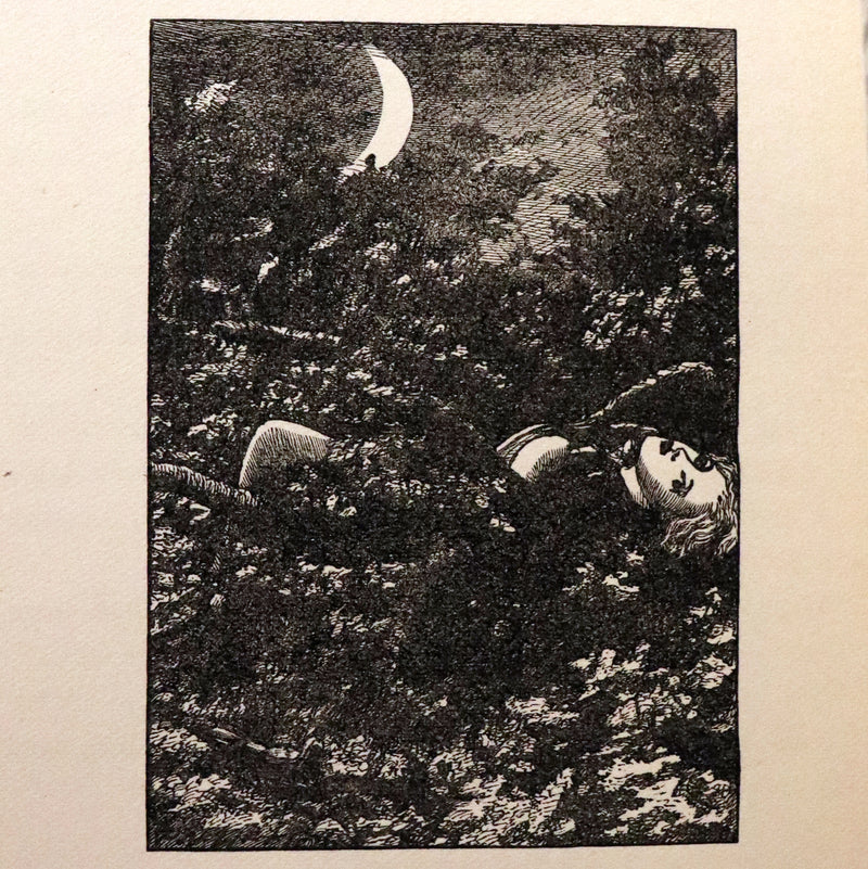 1905 Rare Book - AT THE BACK OF THE NORTH WIND by George MacDonald illustrated by Arthur Hughes.