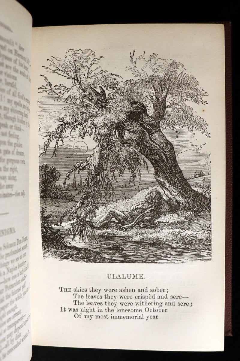 1866 Scarce Victorian Edition - The Complete Poetical Works of Edgar Allan Poe with a Selection of his Sketches and Reviews. Illustrated.