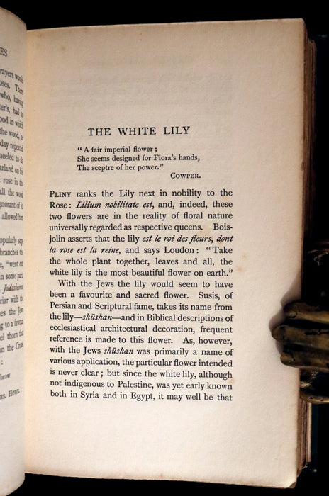 1898 Scarce Floriography Book ~ FLOWER FAVOURITES Their Legends, Symbolism and Significance by Lizzie Deas.