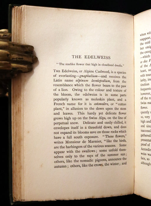 1898 Scarce Floriography Book ~ FLOWER FAVOURITES Their Legends, Symbolism and Significance by Lizzie Deas.