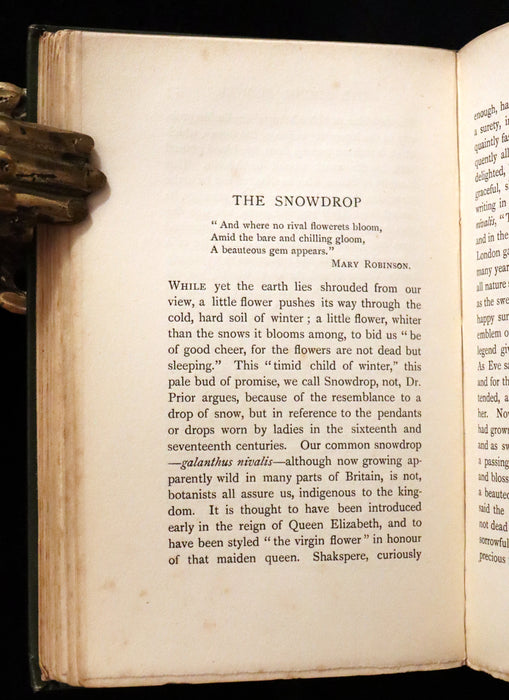 1898 Scarce Floriography Book ~ FLOWER FAVOURITES Their Legends, Symbolism and Significance by Lizzie Deas.