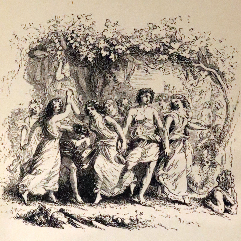 1880 Rare Victorian Book ~ L'ALLEGRO "The Happy Man" by John Milton. Illustrated.