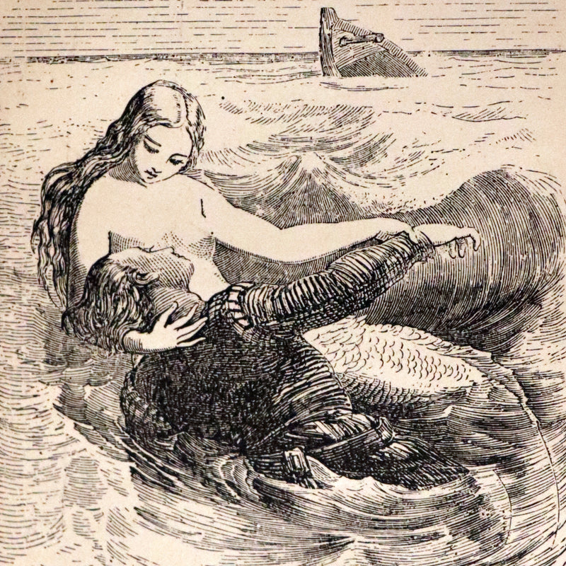 1877 Scarce Book Set - Hans Christian Andersen - 91 FAIRY TALES. Andersen's Library Illustrated.