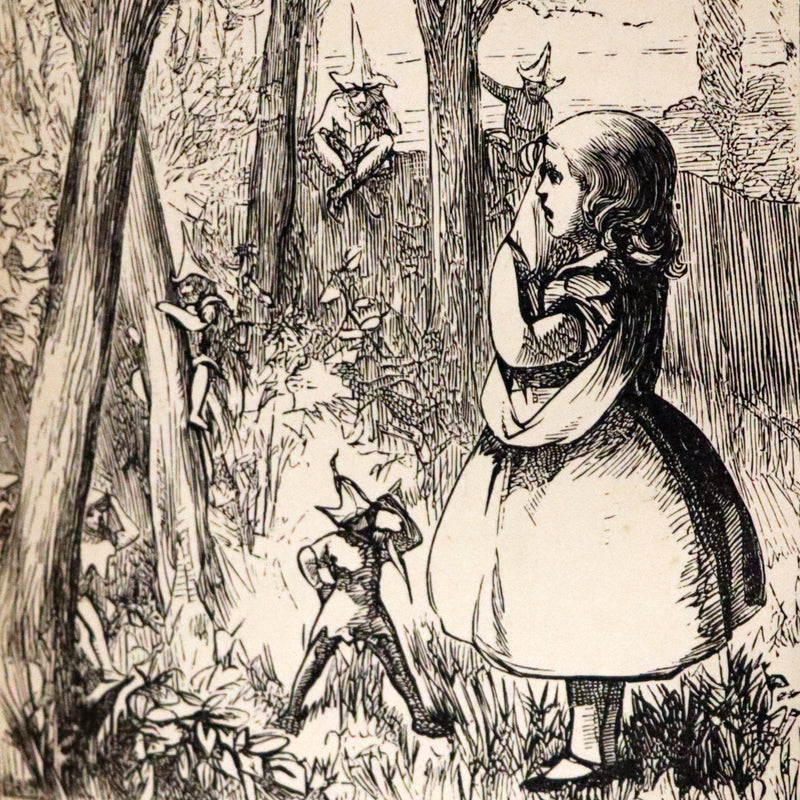 1877 Scarce Book Set - Hans Christian Andersen - 91 FAIRY TALES. Andersen's Library Illustrated.