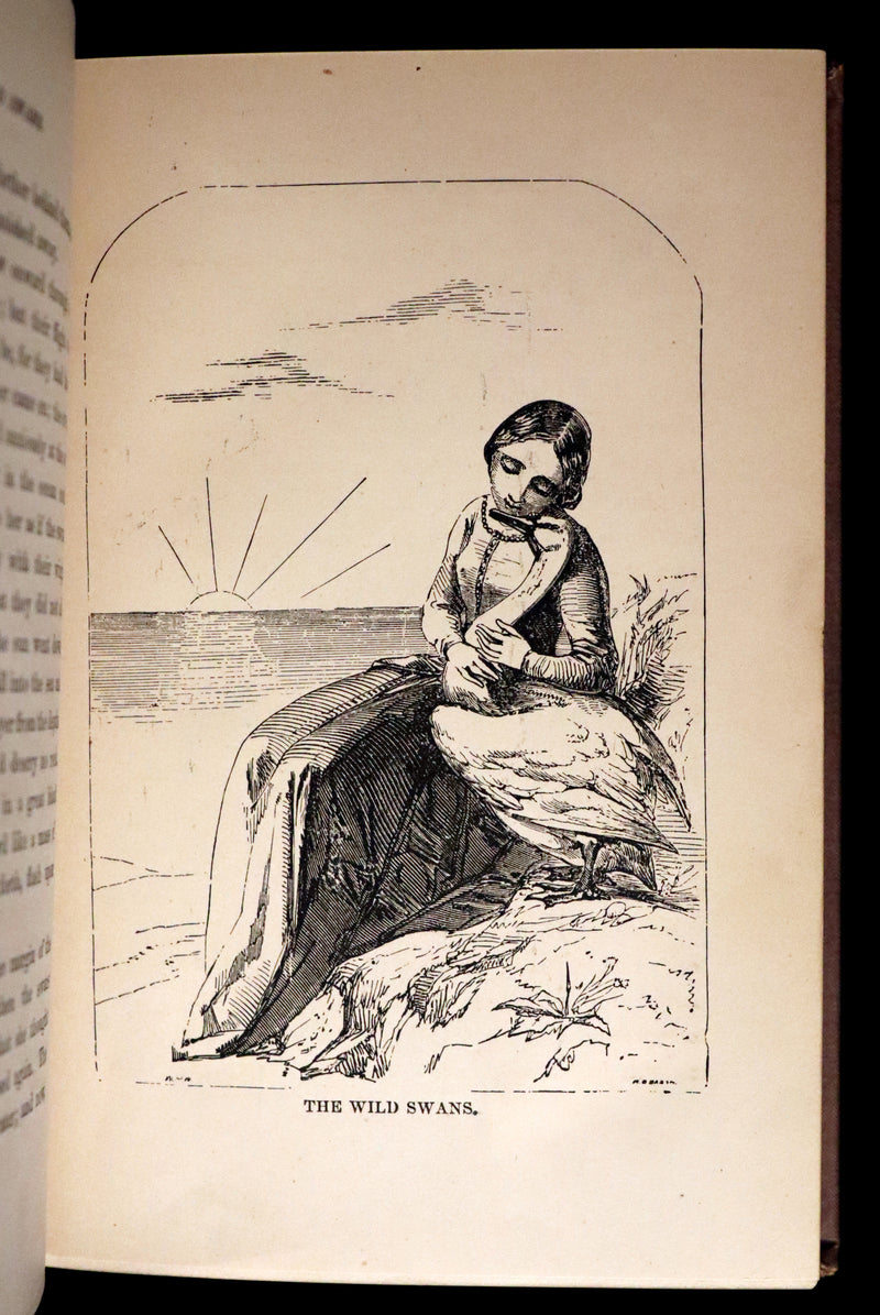 1877 Scarce Book Set - Hans Christian Andersen - 91 FAIRY TALES. Andersen's Library Illustrated.