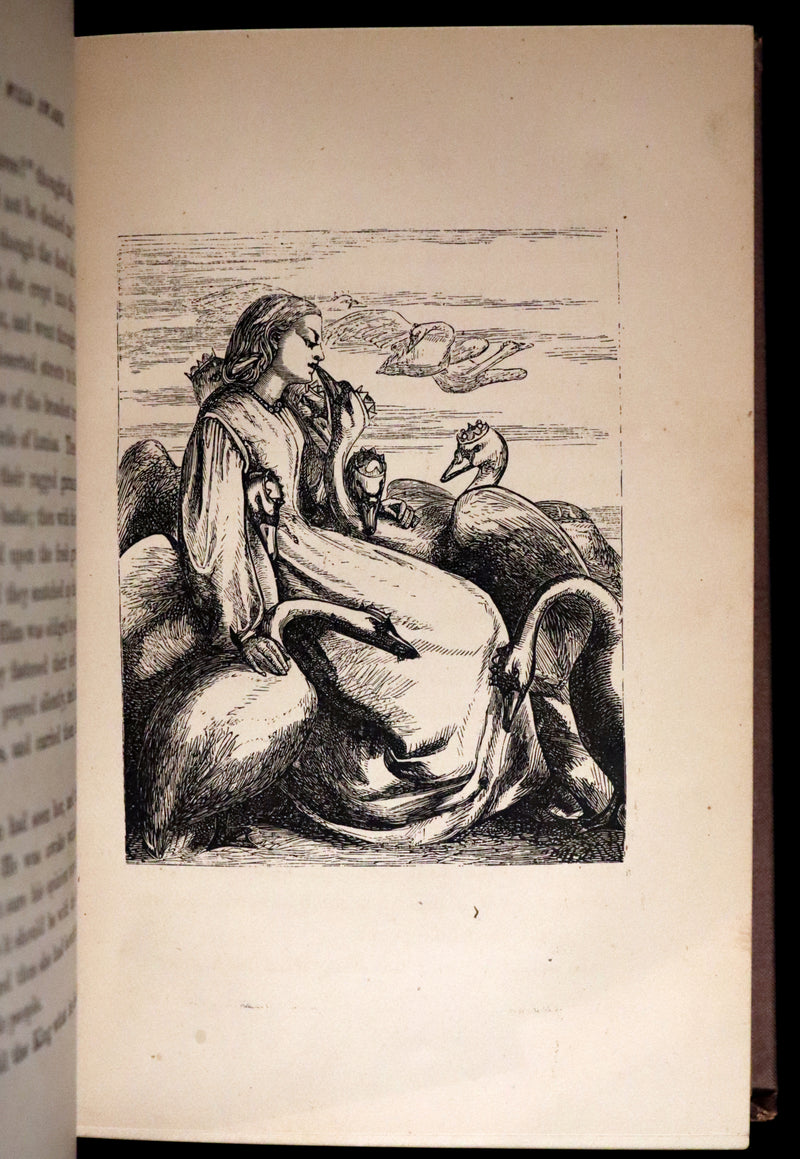 1877 Scarce Book Set - Hans Christian Andersen - 91 FAIRY TALES. Andersen's Library Illustrated.