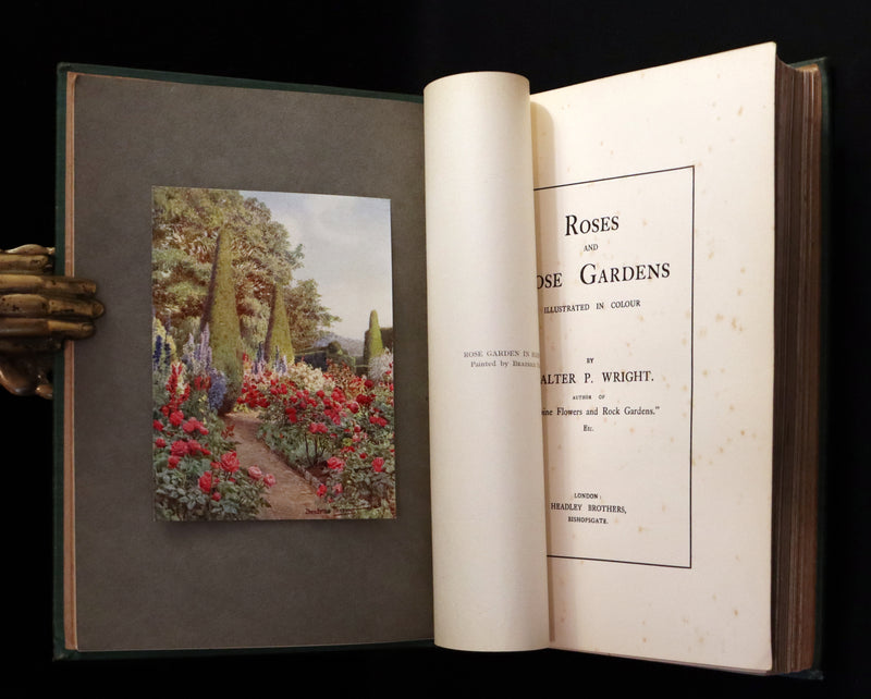 1914 Scarce Gardening Book - ROSES AND ROSE GARDENS by Walter P. Wright.