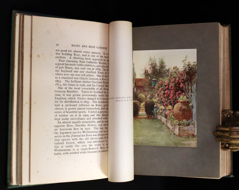 1914 Scarce Gardening Book - ROSES AND ROSE GARDENS by Walter P. Wright.