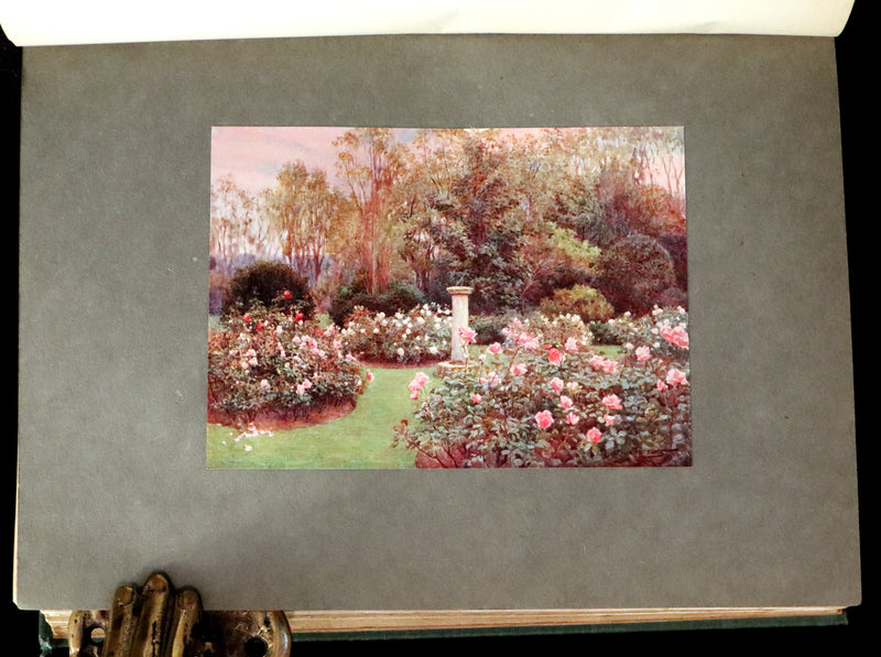 1914 Scarce Gardening Book - ROSES AND ROSE GARDENS by Walter P. Wright.