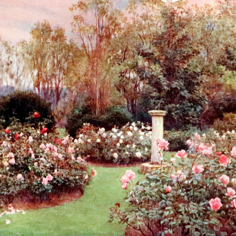 1914 Scarce Gardening Book - ROSES AND ROSE GARDENS by Walter P. Wright.