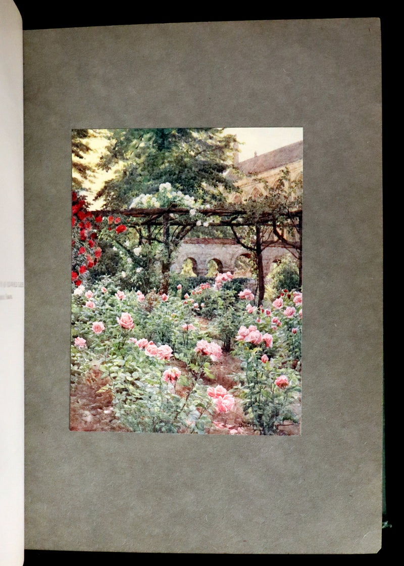 1914 Scarce Gardening Book - ROSES AND ROSE GARDENS by Walter P. Wright.