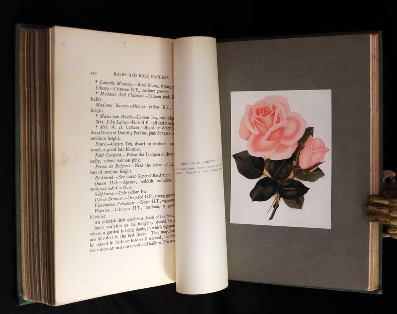 1914 Scarce Gardening Book - ROSES AND ROSE GARDENS by Walter P. Wright.