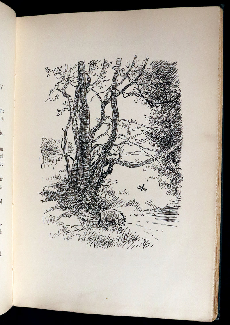 1926 Rare First Edition - WINNIE-THE-POOH by A.A. Milne & Illustrated by E.H. Shepard.