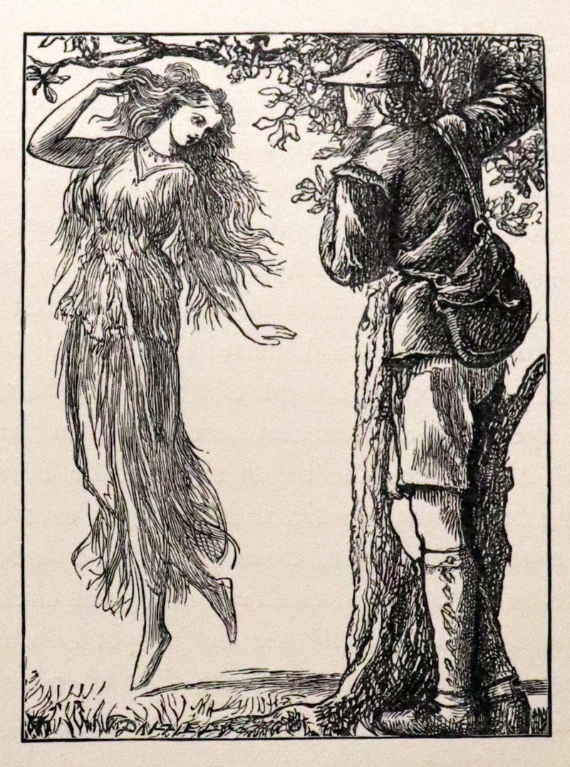 1900 Rare Book - AT THE BACK OF THE NORTH WIND by George MacDonald illustrated by Arthur Hughes.