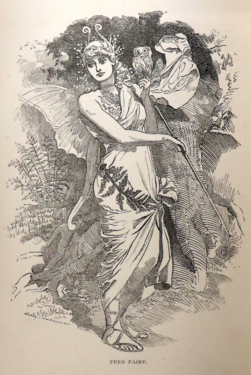 1886 Scarce First Edition - FRIENDS AND FOES FROM FAIRY LAND by E. H. Knatchbull-Hugessen (Lord Brabourne).