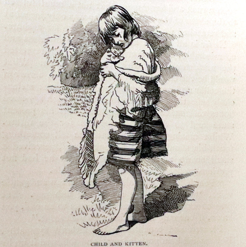 1886 Scarce First Edition - FRIENDS AND FOES FROM FAIRY LAND by E. H. Knatchbull-Hugessen (Lord Brabourne).