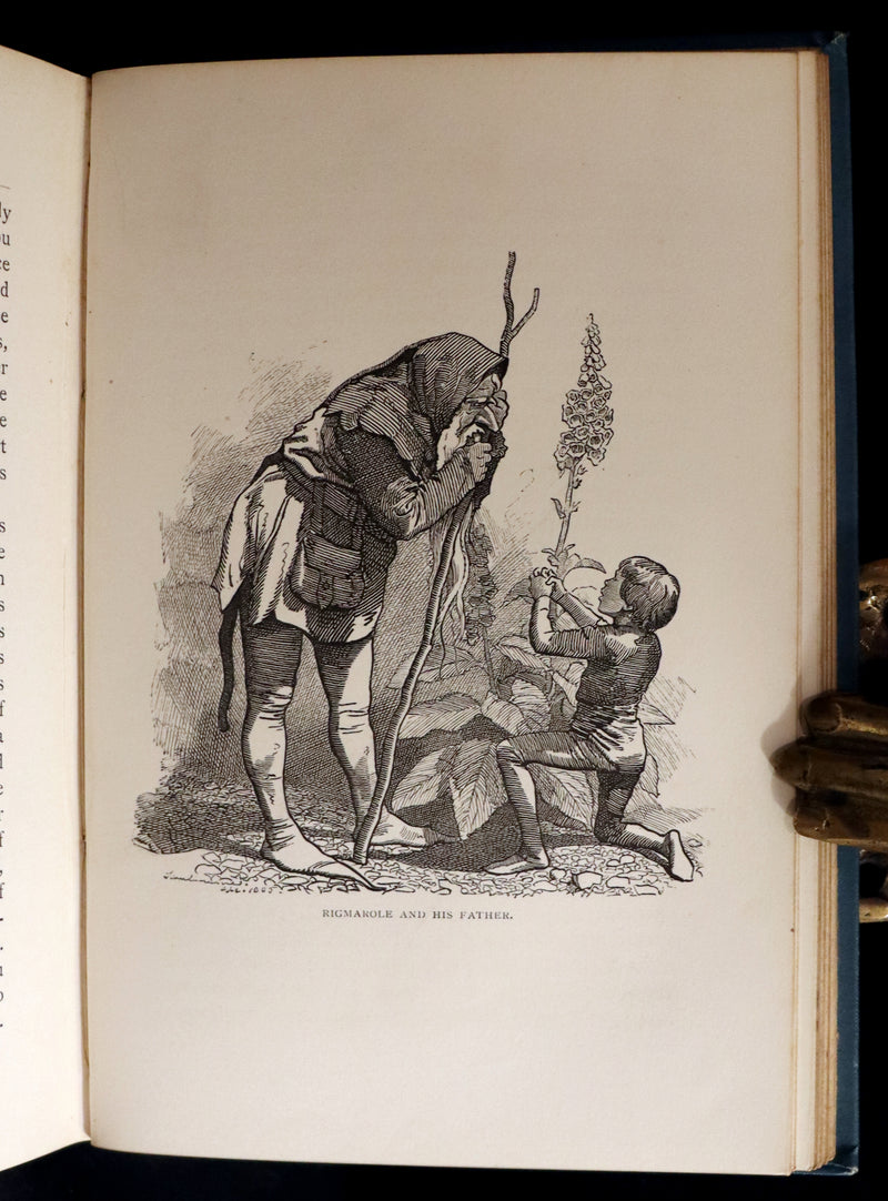 1886 Scarce First Edition - FRIENDS AND FOES FROM FAIRY LAND by E. H. Knatchbull-Hugessen (Lord Brabourne).