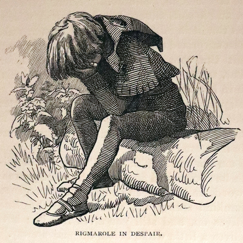 1886 Scarce First Edition - FRIENDS AND FOES FROM FAIRY LAND by E. H. Knatchbull-Hugessen (Lord Brabourne).