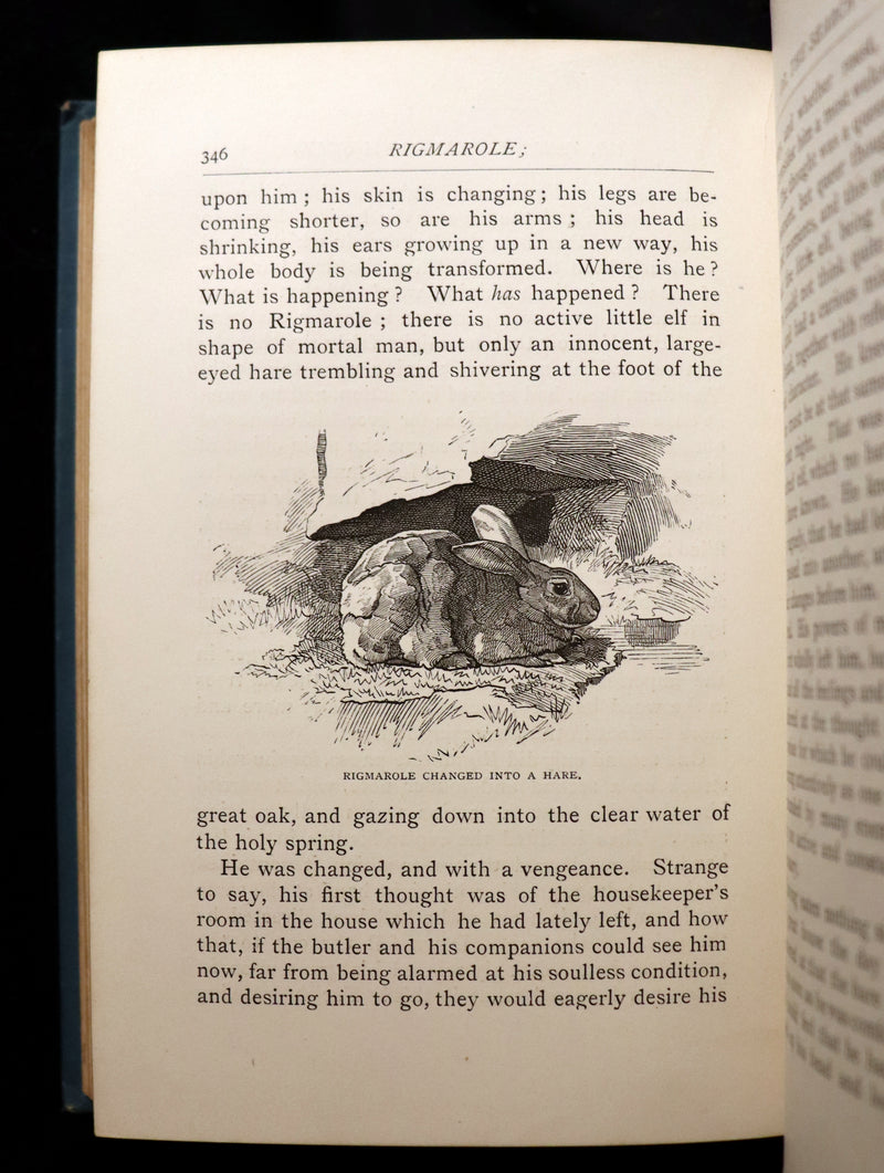 1886 Scarce First Edition - FRIENDS AND FOES FROM FAIRY LAND by E. H. Knatchbull-Hugessen (Lord Brabourne).