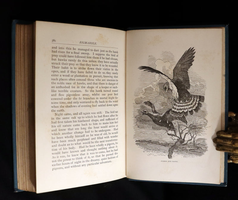 1886 Scarce First Edition - FRIENDS AND FOES FROM FAIRY LAND by E. H. Knatchbull-Hugessen (Lord Brabourne).