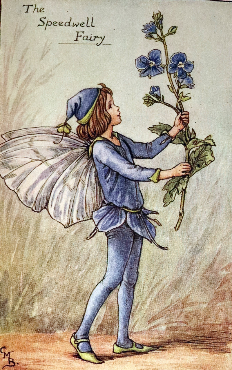 1942 Rare Book - THE BOOK OF THE FLOWER FAIRIES by Cicely Mary Barker.