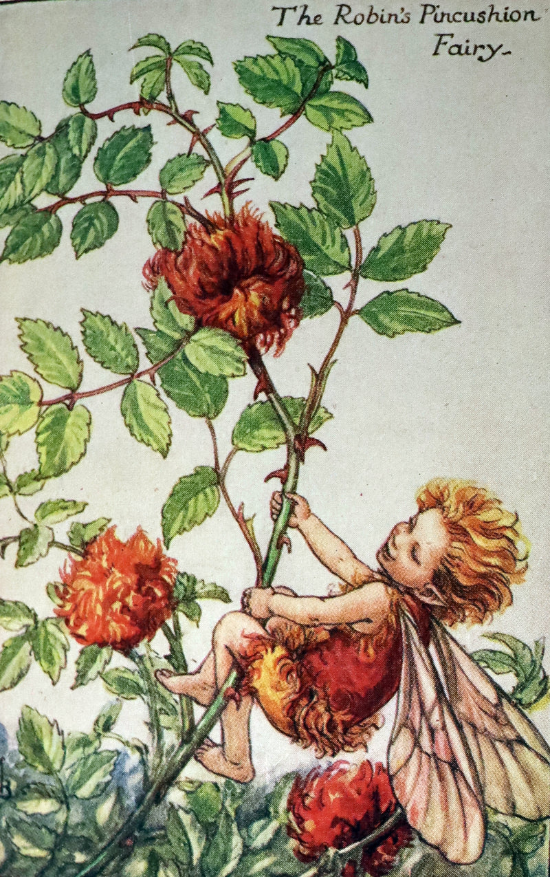 1942 Rare Book - THE BOOK OF THE FLOWER FAIRIES by Cicely Mary Barker.