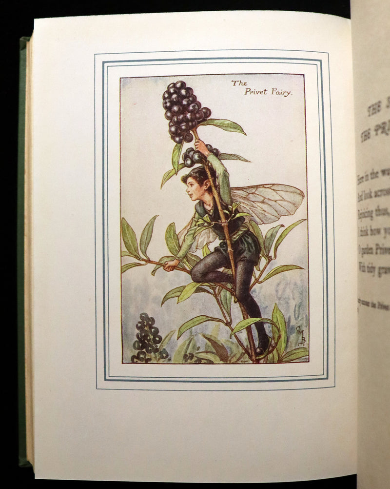 1942 Rare Book - THE BOOK OF THE FLOWER FAIRIES by Cicely Mary Barker.