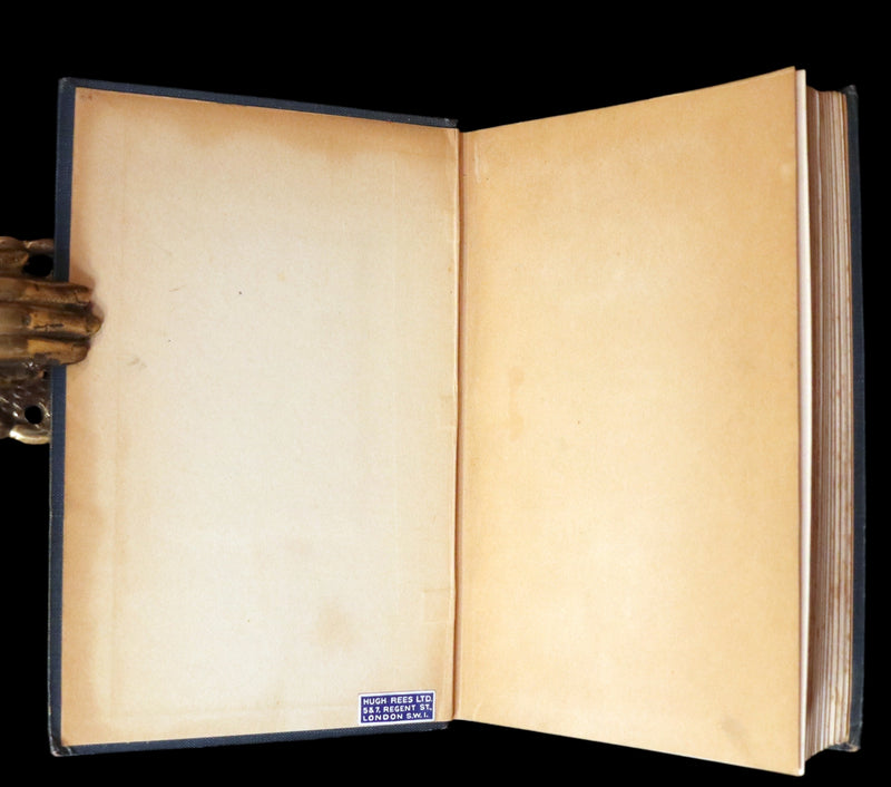 1911 Rare Edition - The PRINCESS and the GOBLIN by George MacDonald. Illustrated.