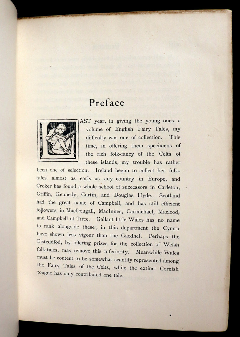 1892 Rare First Edition - CELTIC FAIRY TALES by J. Jacobs Illustrated by J.D. Batten.