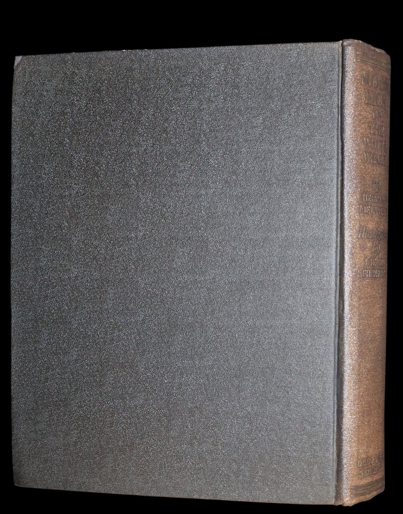 1922 Rare 1stED illustrated by Mead Schaeffer - MOBY DICK or The White Whale by Herman Melville.