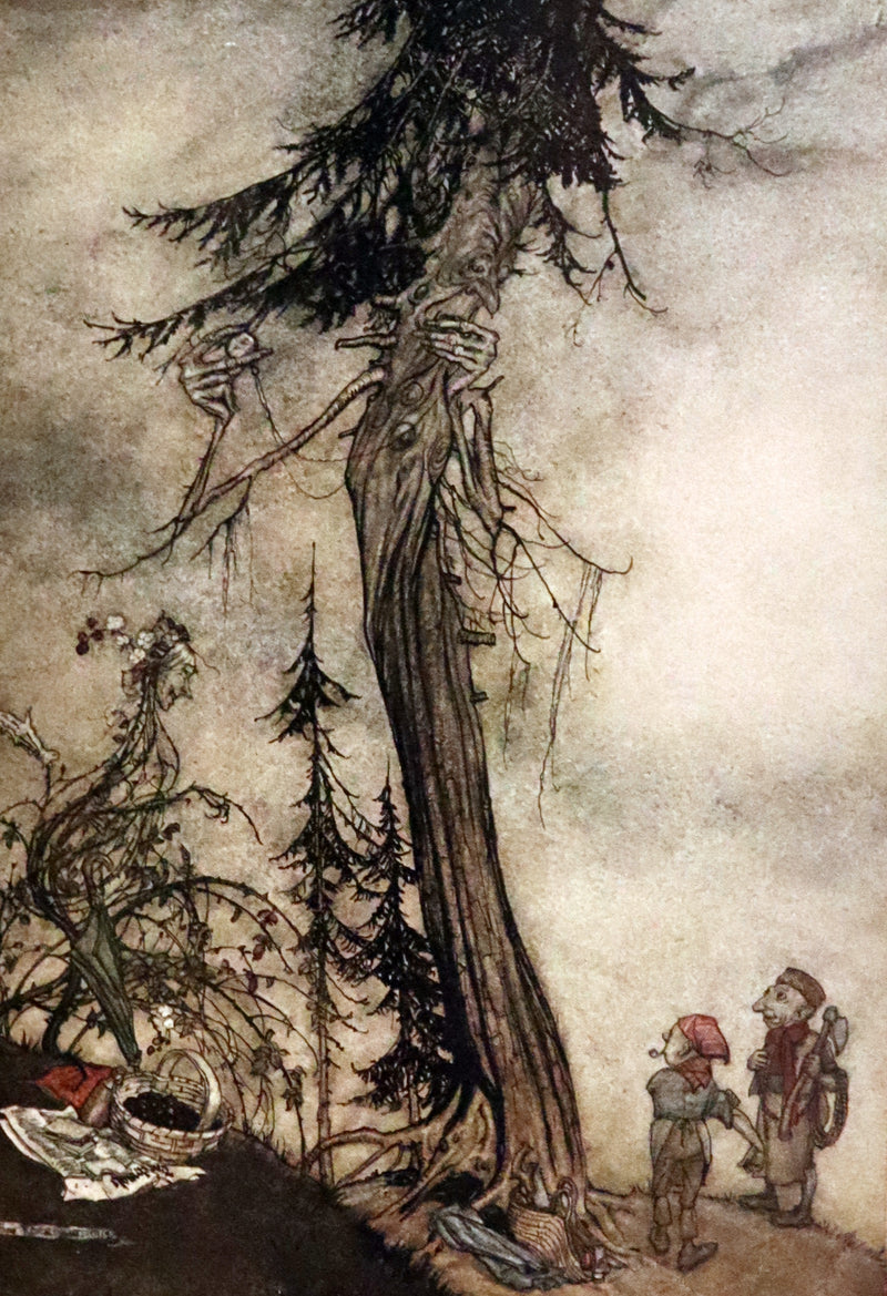 1912 Rare First Edition - AESOP'S FABLES Illustrated by Arthur RACKHAM. Presentation Copy.