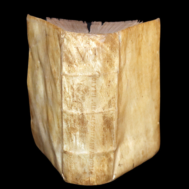 1557 Rare Latin Vellum Book - Polybius - Roman Republic's Histories - Megalopolitani Historiarum.