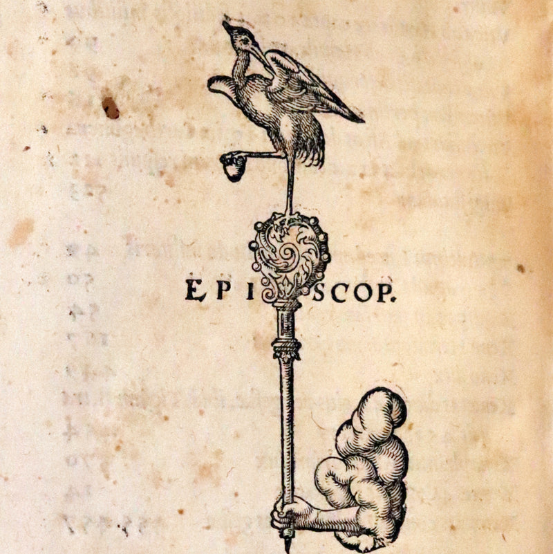 1557 Rare Latin Vellum Book - Polybius - Roman Republic's Histories - Megalopolitani Historiarum.