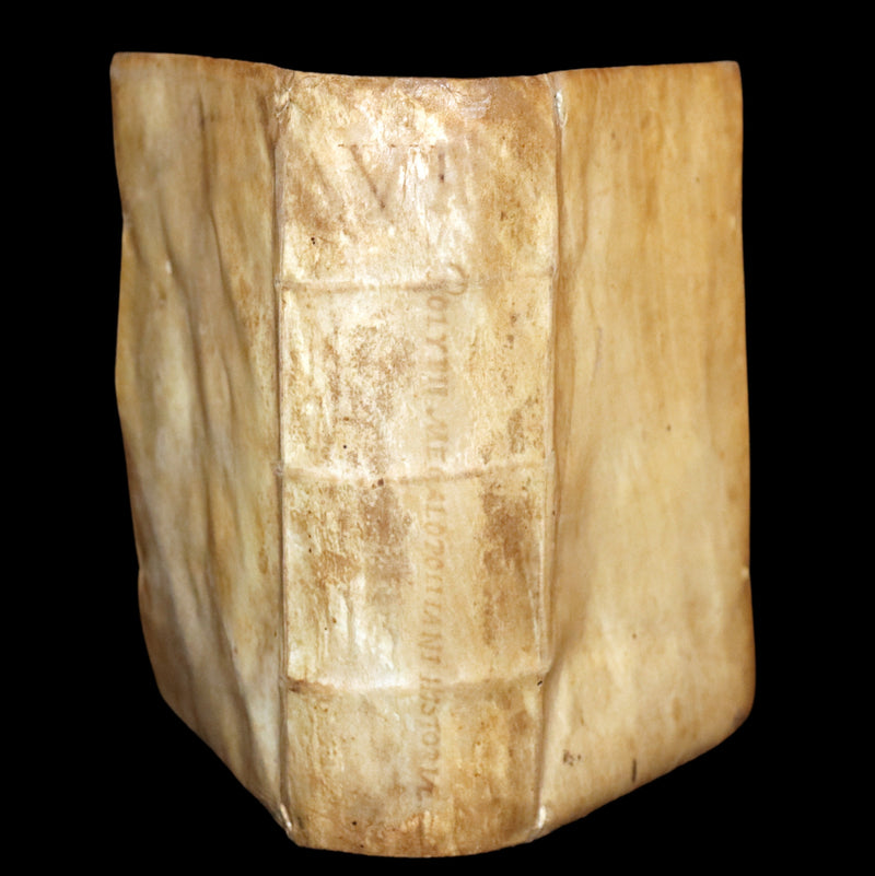 1557 Rare Latin Vellum Book - Polybius - Roman Republic's Histories - Megalopolitani Historiarum.