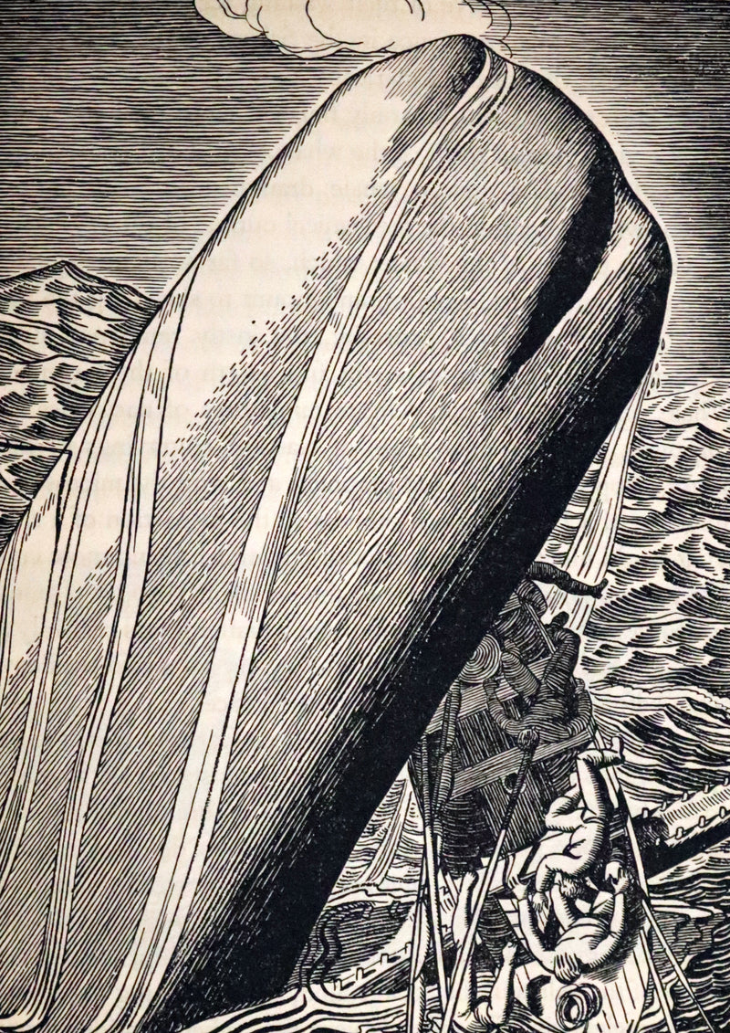 1930 Rare First Edition - MOBY DICK or The Whale by Melville, illustrated by Rockwell Kent.