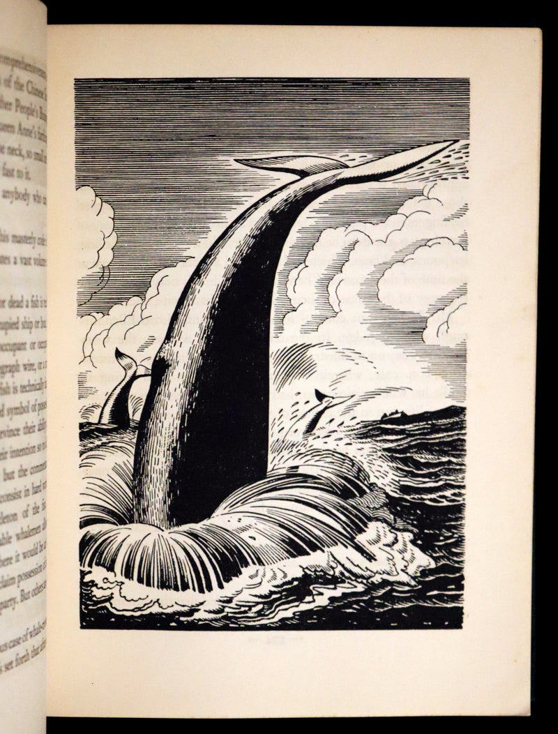 1930 Rare First Edition - MOBY DICK or The Whale by Melville, illustrated by Rockwell Kent.
