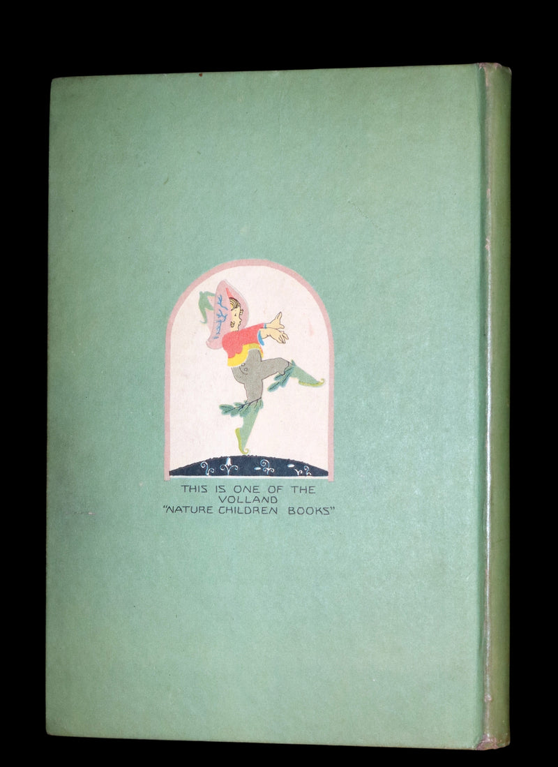 1918 Rare First Edition - WILD FLOWER CHILDREN The Little Playmates of the Fairies illustrated by Janet Laura Scott.