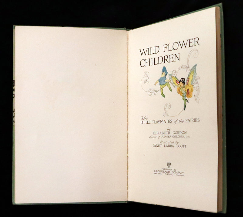 1918 Rare First Edition - WILD FLOWER CHILDREN The Little Playmates of the Fairies illustrated by Janet Laura Scott.